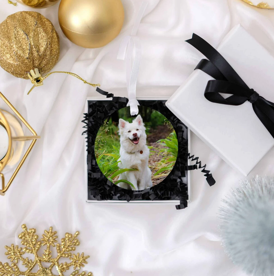 Personalised Pet Bauble Gift idea