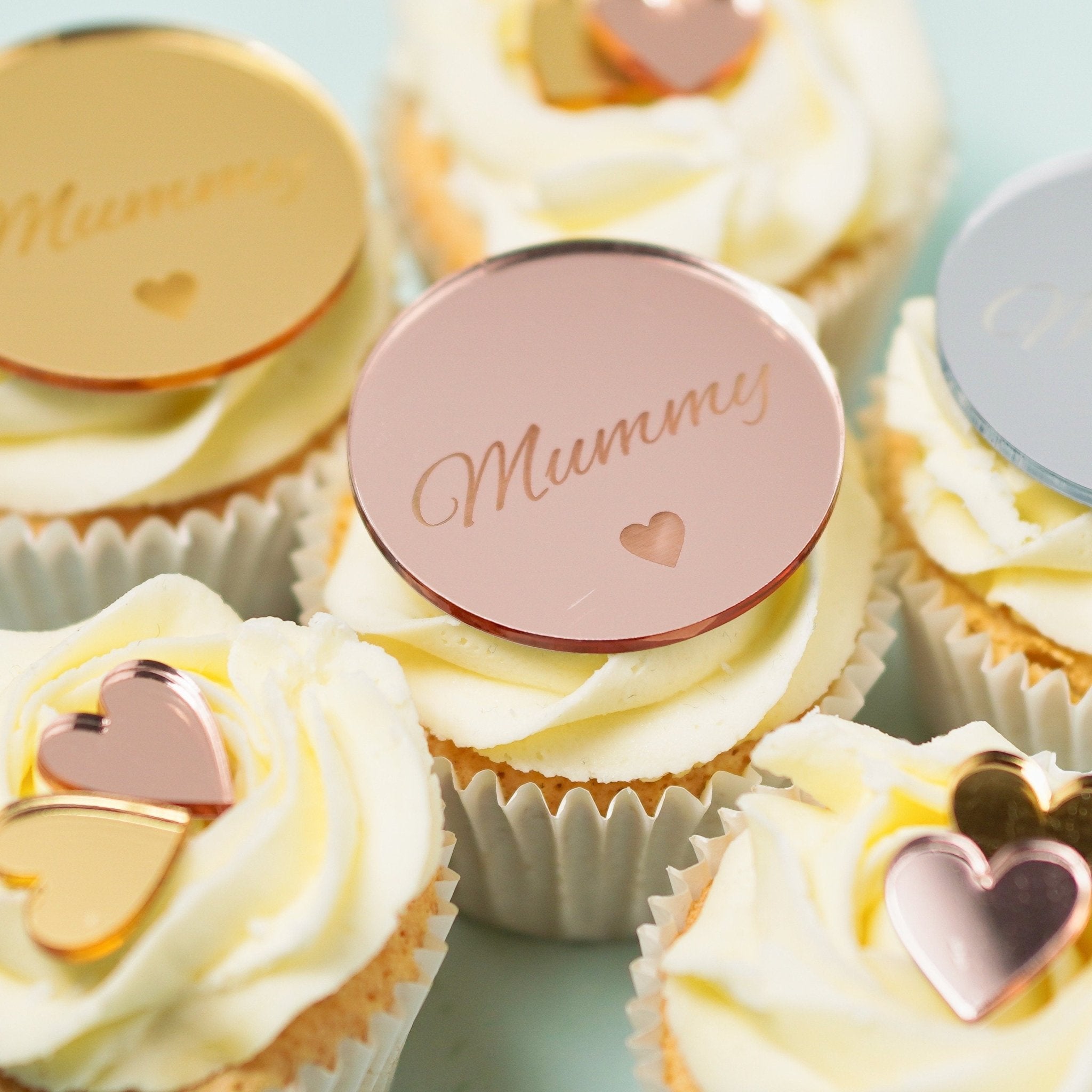 Acrylic Mummy Cupcake Topper / Gift Tag