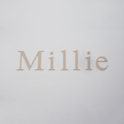 Acrylic wall sign